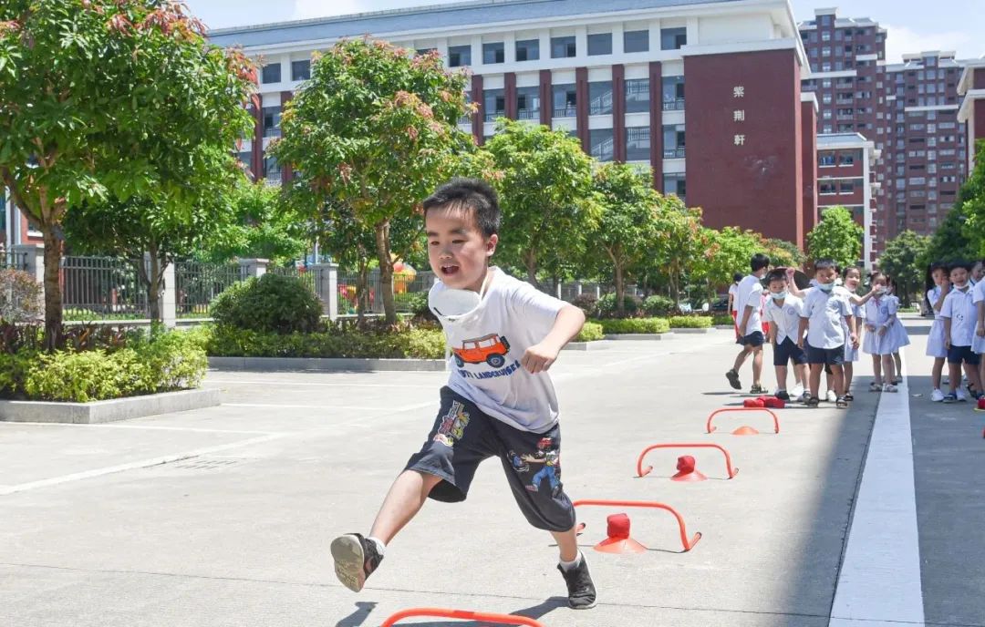 北师大福清附校幼小衔接小学,北师大版幼小衔接学数学