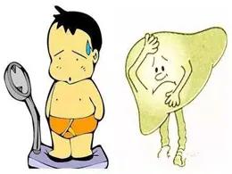 乙肝合并脂肪肝，能改变肝病进展，增加肝癌风险！听听医生的建议