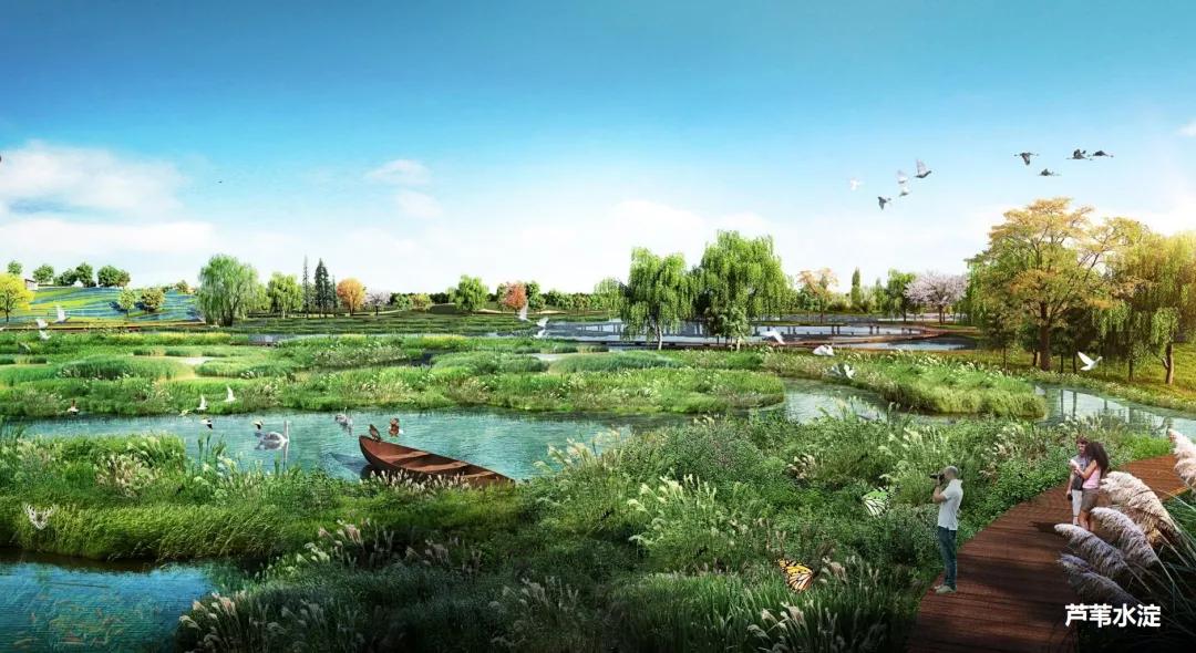 昌平新城滨河森林公园足球场,昌平未来科技城足球场