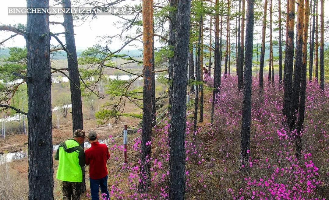 寻找中国最美的春季,探寻中国最美秘境