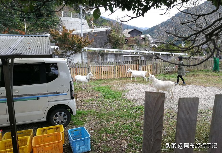 日本德岛好玩吗,日本农村真的好吗