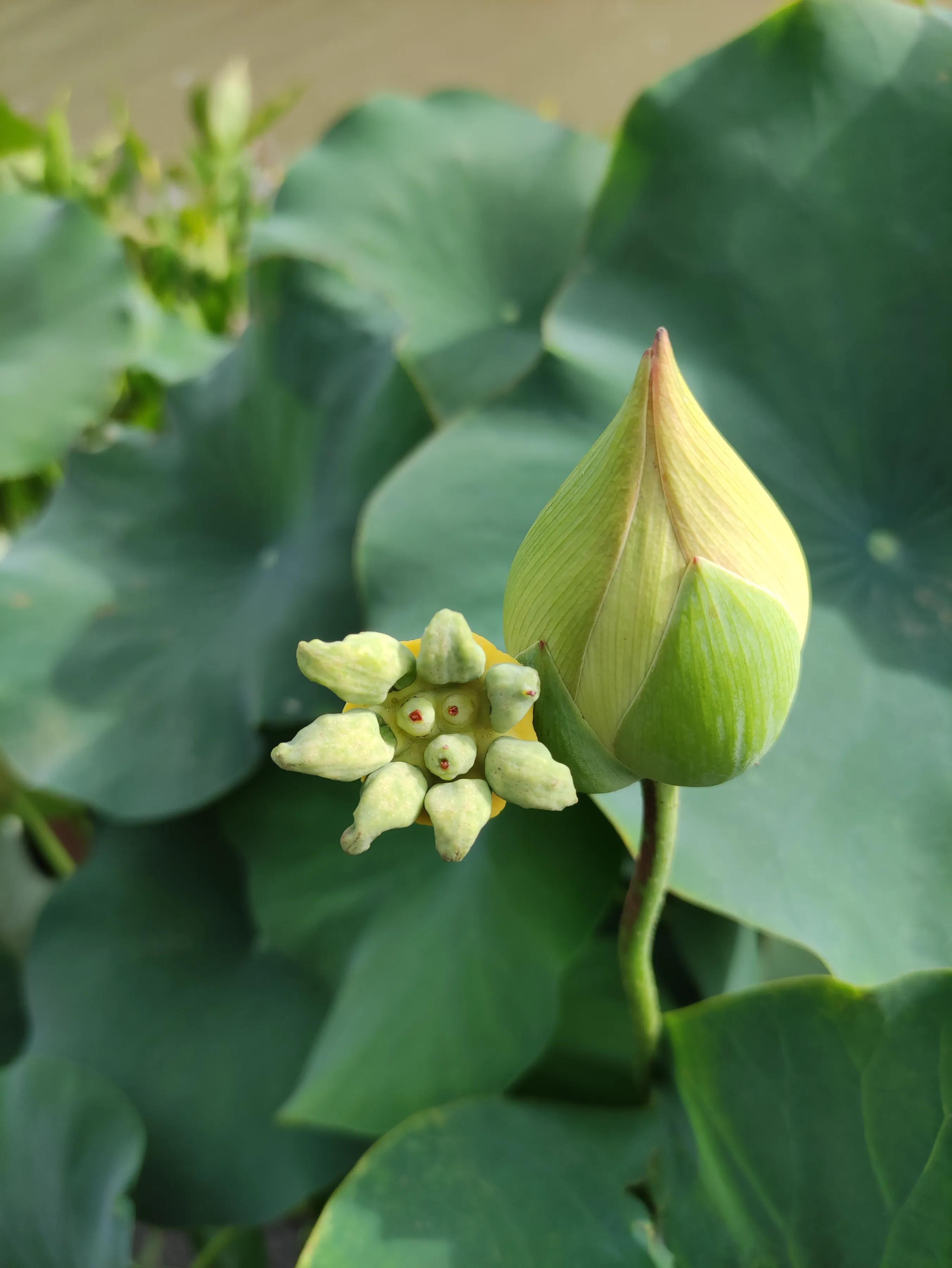 手拍世界手机摄影平台,手拍世界摄影交流平台