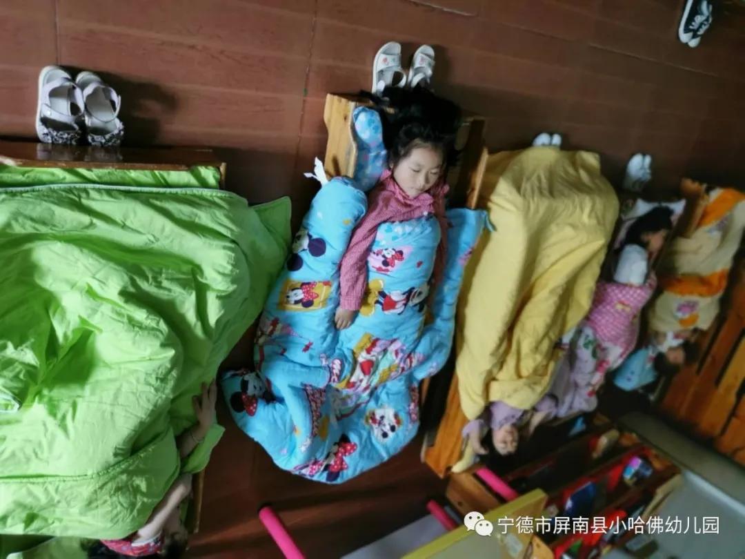 宁德小哈佛幼儿园,宁德蕉城区小哈佛幼儿园