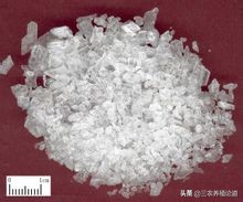 兽医脓疮,兽医治疗化脓