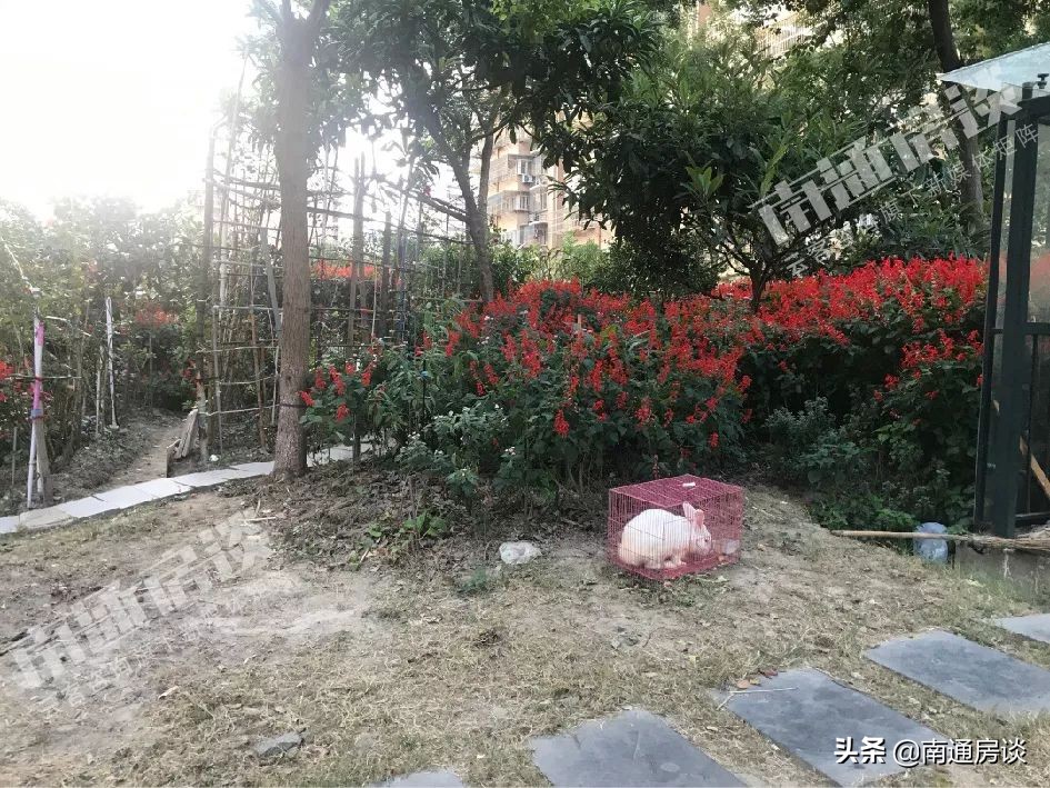 学士府与紫东花苑哪个好,学士府安置房价格