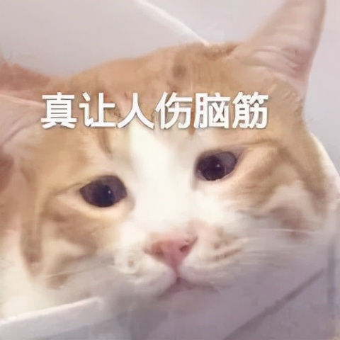 汪小菲和大s挫骨扬灰,汪小菲自曝还爱大s上热搜