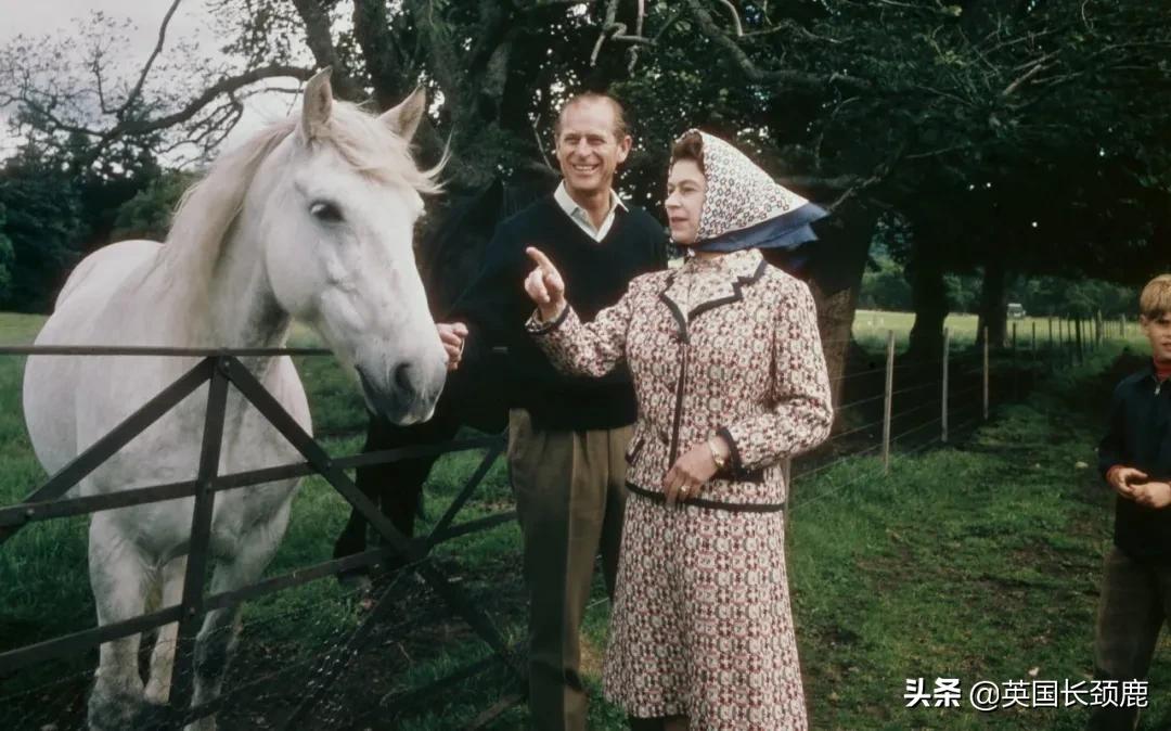 “感谢74年的陪伴，来生一定要再做我的爱人，好吗？”