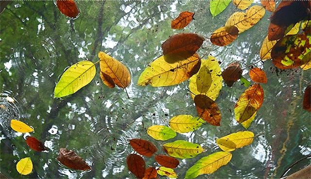 人气爆红的烧烤场，藏在了650㎡的校园课室里