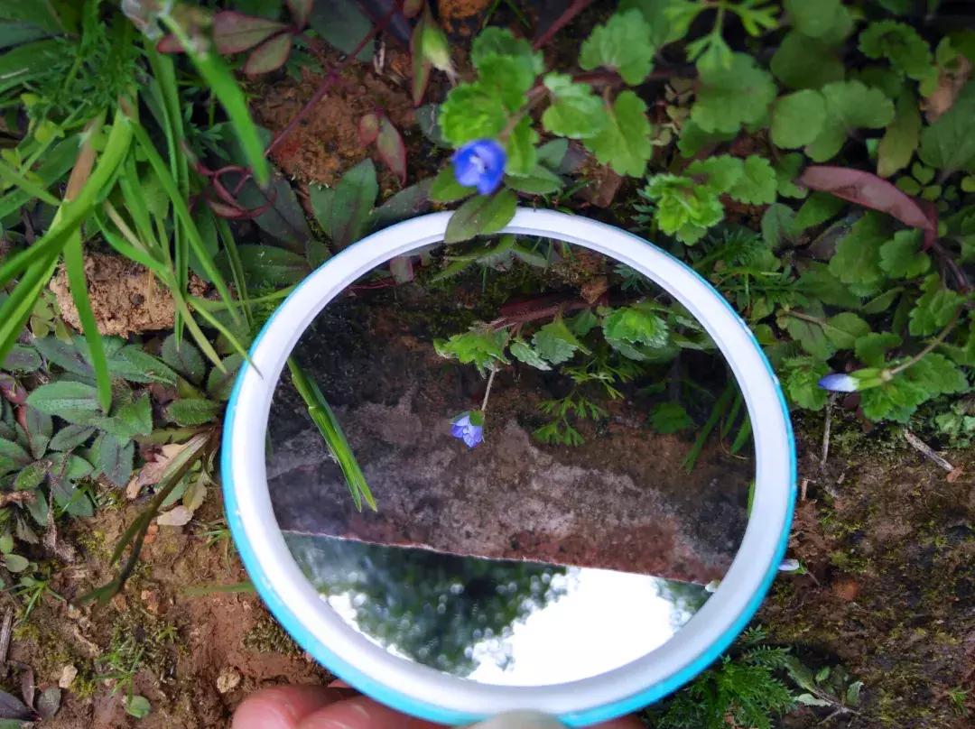 镜中的武工院，是最美？妙不可言？