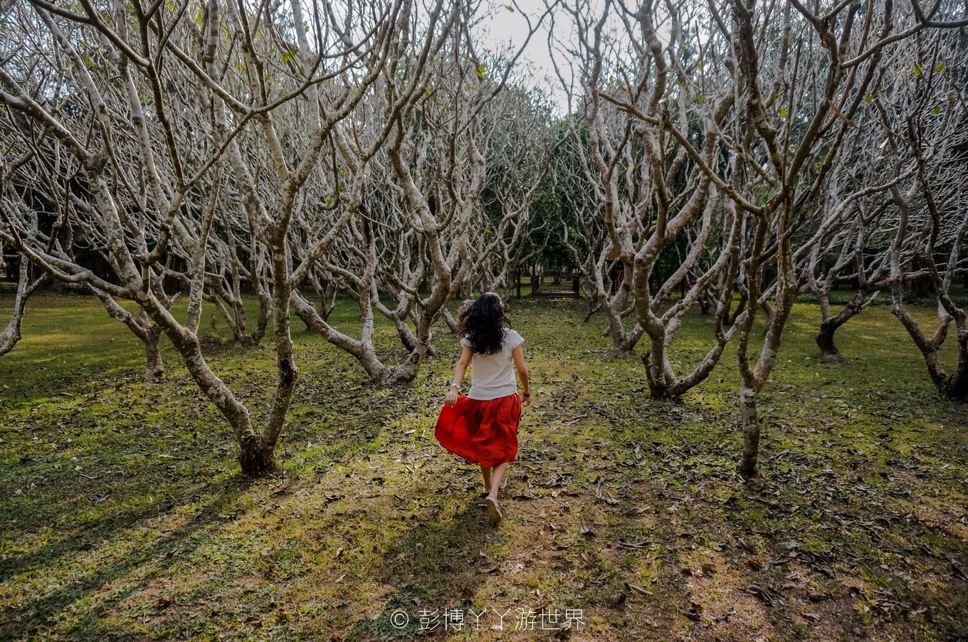 泰国千年古城大城府,泰国吴哥窟和柬埔寨吴哥窟