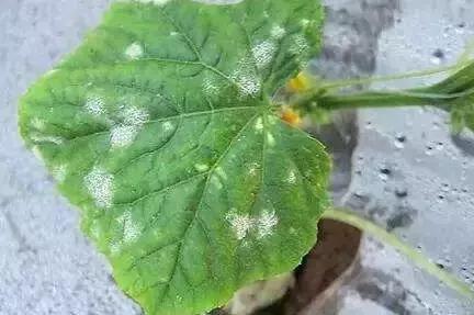 如何应对回南天,户外应对雷暴天气的最佳方法