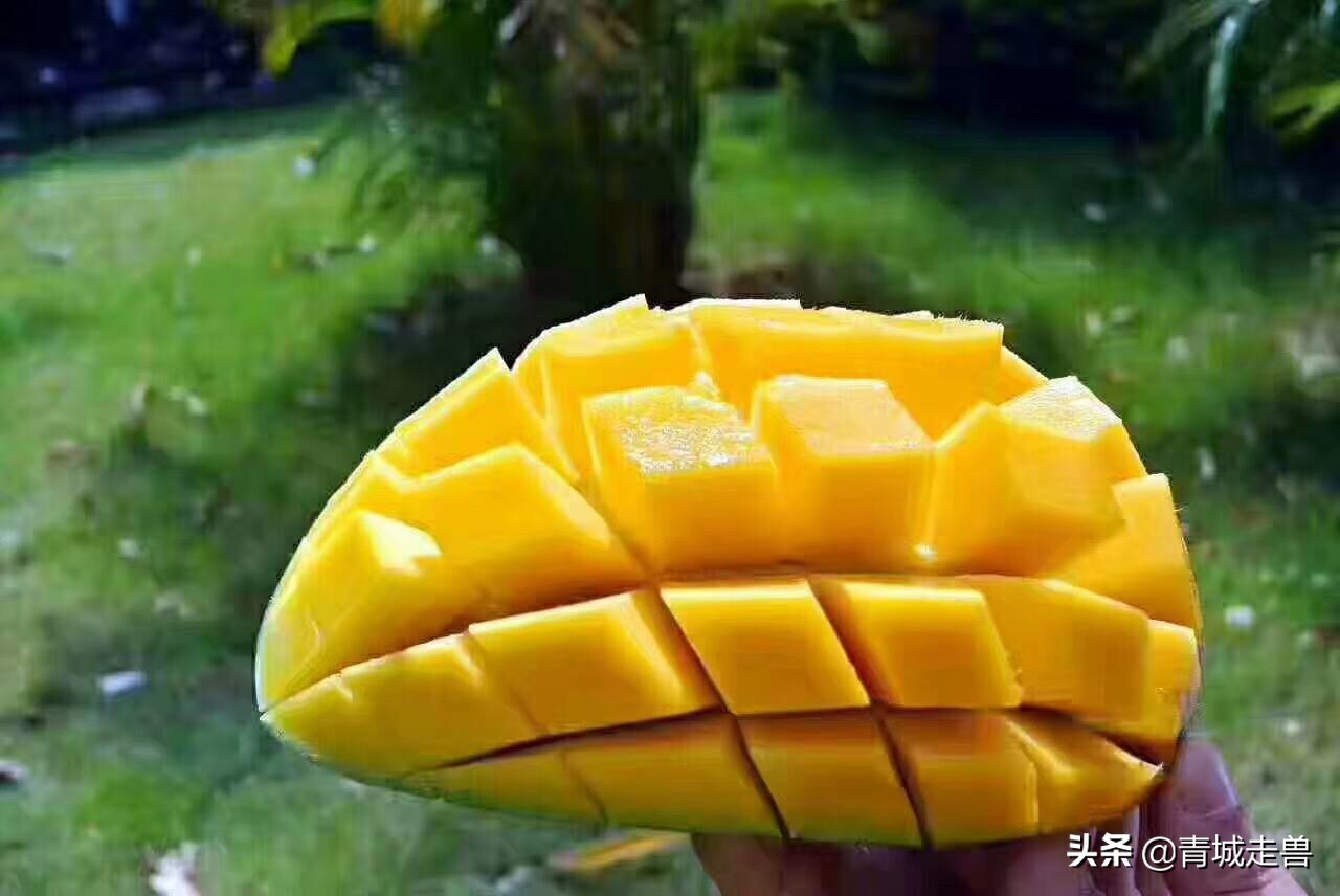 开春适合吃什么蔬菜和水果,开春了见到这5种水果别手软