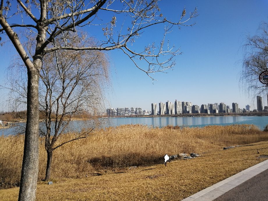 致敬城市风景线,赞美开封的美景