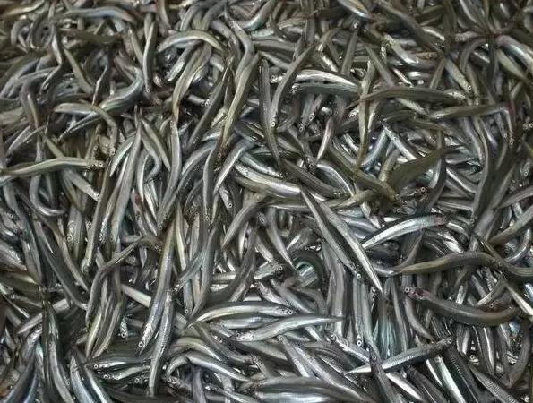 青岛十大海鲜干货特产,青岛西海岸特产推荐