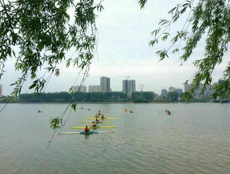 河南南阳的公办中专学校,南阳卫校中专分数线