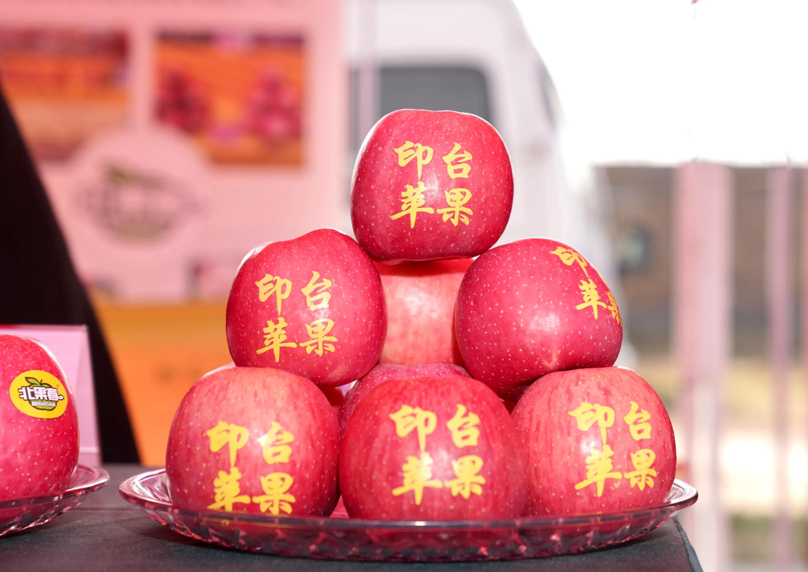 一品苹果·唯美印台，陕西果业产区行走进铜川印台区苹果优生区