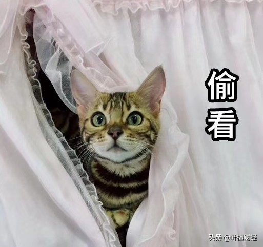 这座奇葩城市房价大涨的勇气哪来的？