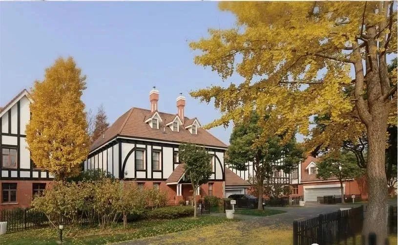 戴口罩排队抢豪宅,富人千万豪宅被疯抢