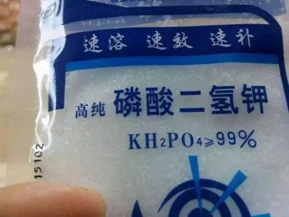磷酸二氢钾多种使用方法,磷酸二氢钾怎样用才能效果翻倍呢