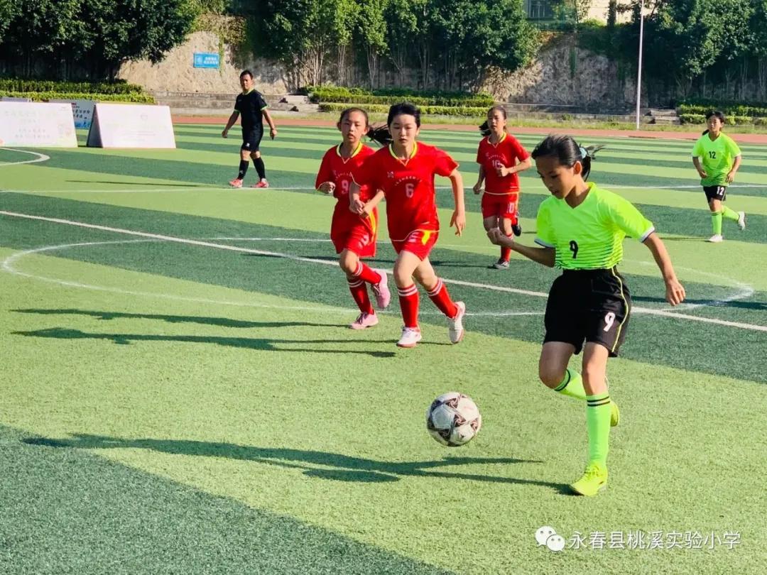 动起来，桃溪少年！——泛阳光体育之舟，展桃溪学子风采