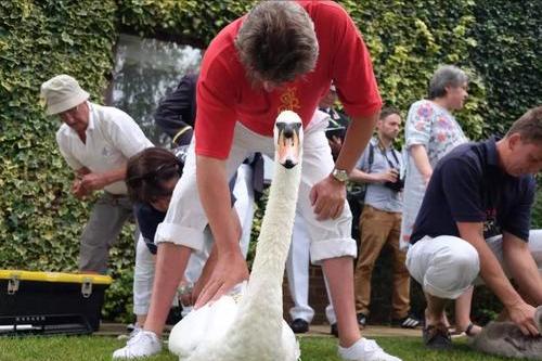 绅士照片英伦,绅士图片大全高清图