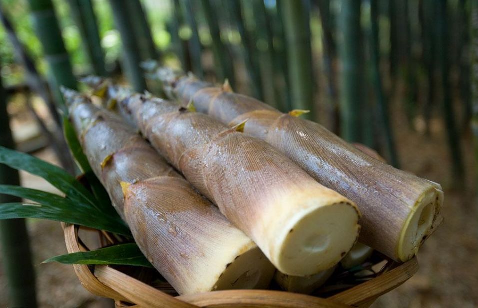 嫩笋怎么炒好吃又简单的做法,怎样挑选笋干好吃又实惠