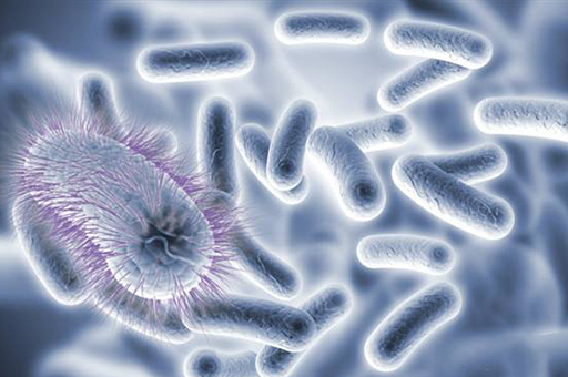 30年前人身上长虱子,为什么以前人长虱子现在没有虱子