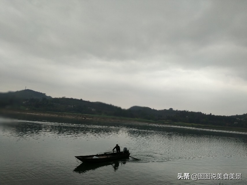 重庆江津中坝岛正宗甘蔗红糖,甘蔗中坝岛视频