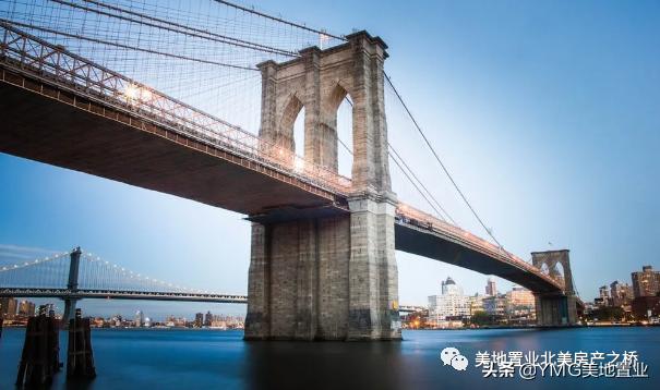 纽约市科普,纽约时报科普