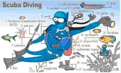 30张场景单词图，教你记住高频生活词（建议收藏）（下）