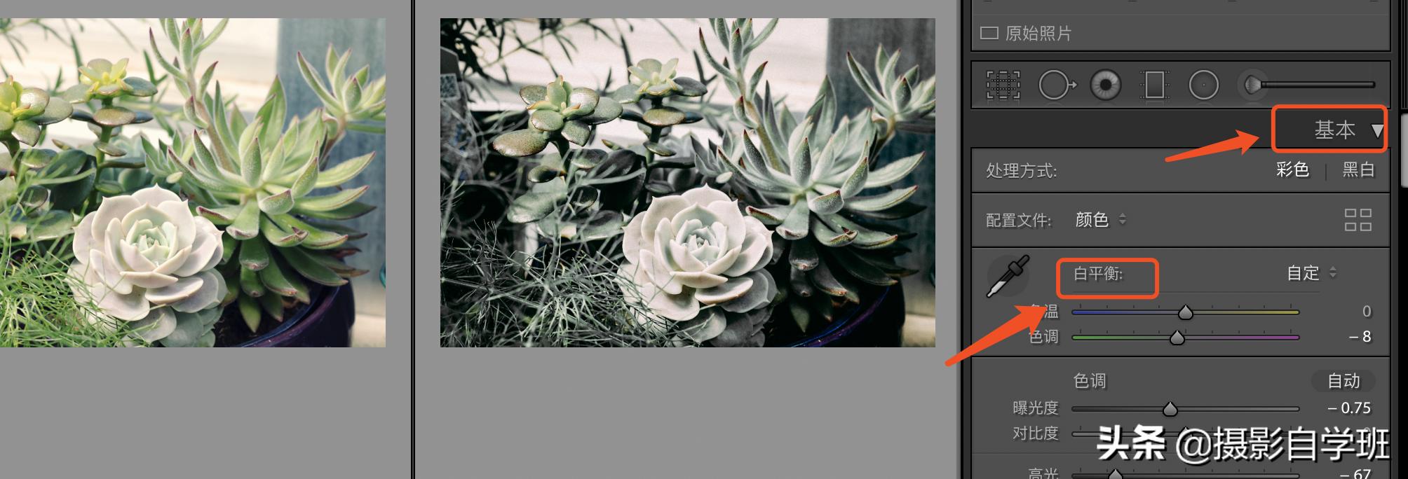 灰色显高级发色,高级灰风格照片的特点和调色方法