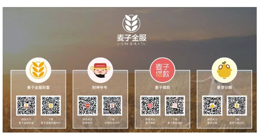 麦子金服被批捕,麦子金服2021年案情进展