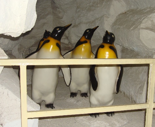 西安带孩子们最值得去的海洋公园,遛娃海洋馆打卡视频