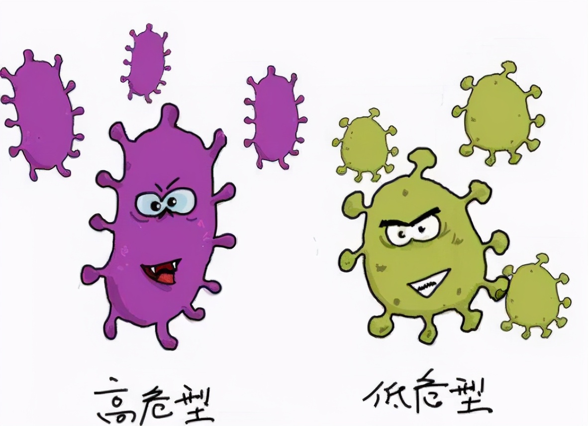 hpv转阴就好了吗,hpv转阴后就好了吗