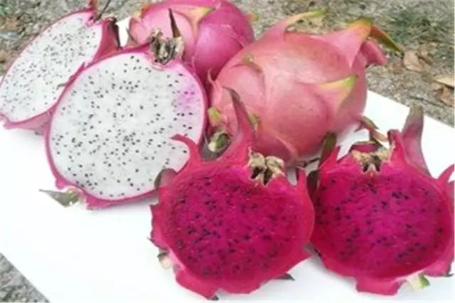 北鼎8系饮水机热水有异味怎么办,3秒热水饮水机如何使用没有异味