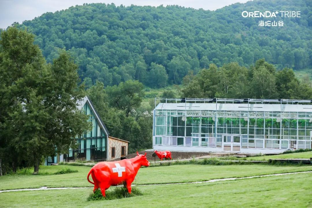 回望2020海坨耕耘路,以待2021山谷新美好