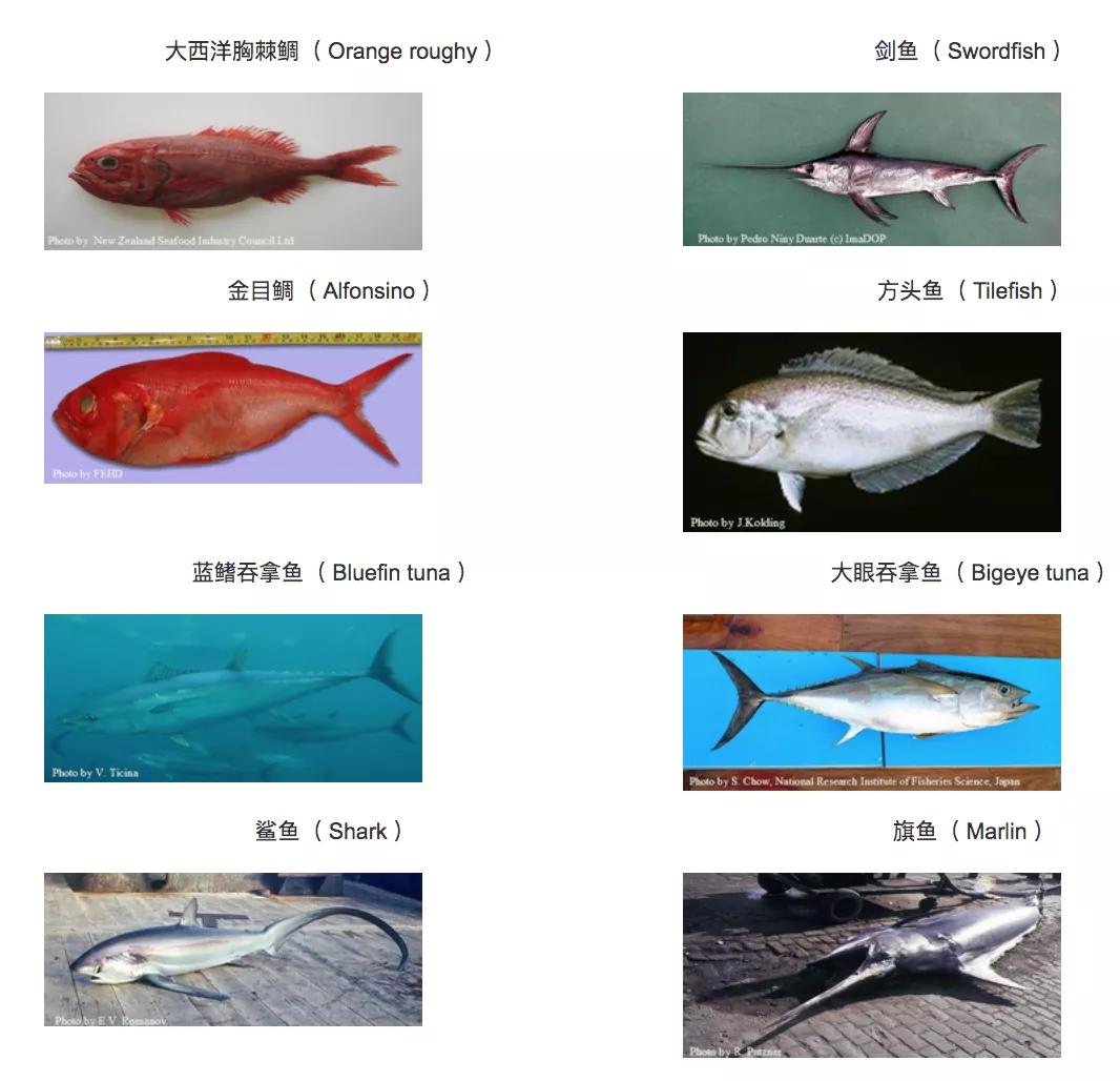 孕期补钙dha推荐,孕妇补钙补dha应该服用什么