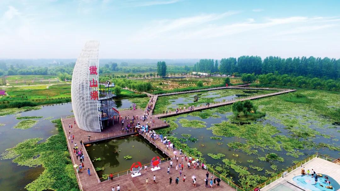 夏季最美荷花在哪里,山东最漂亮的荷花