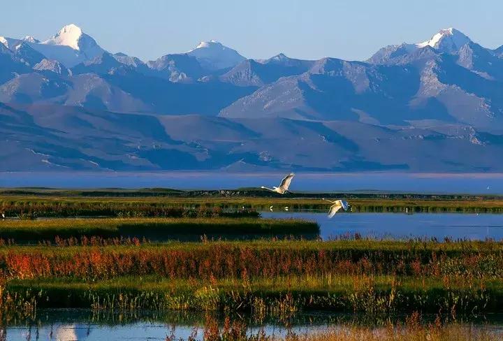 厉害了新疆,厉害了六安三所高校获国家认定