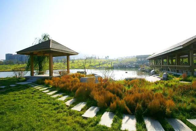 别人家的学校全集,别人家的学校风景