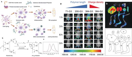 精选JACS/Angew12篇:树枝状大分子的最新成果大盘点