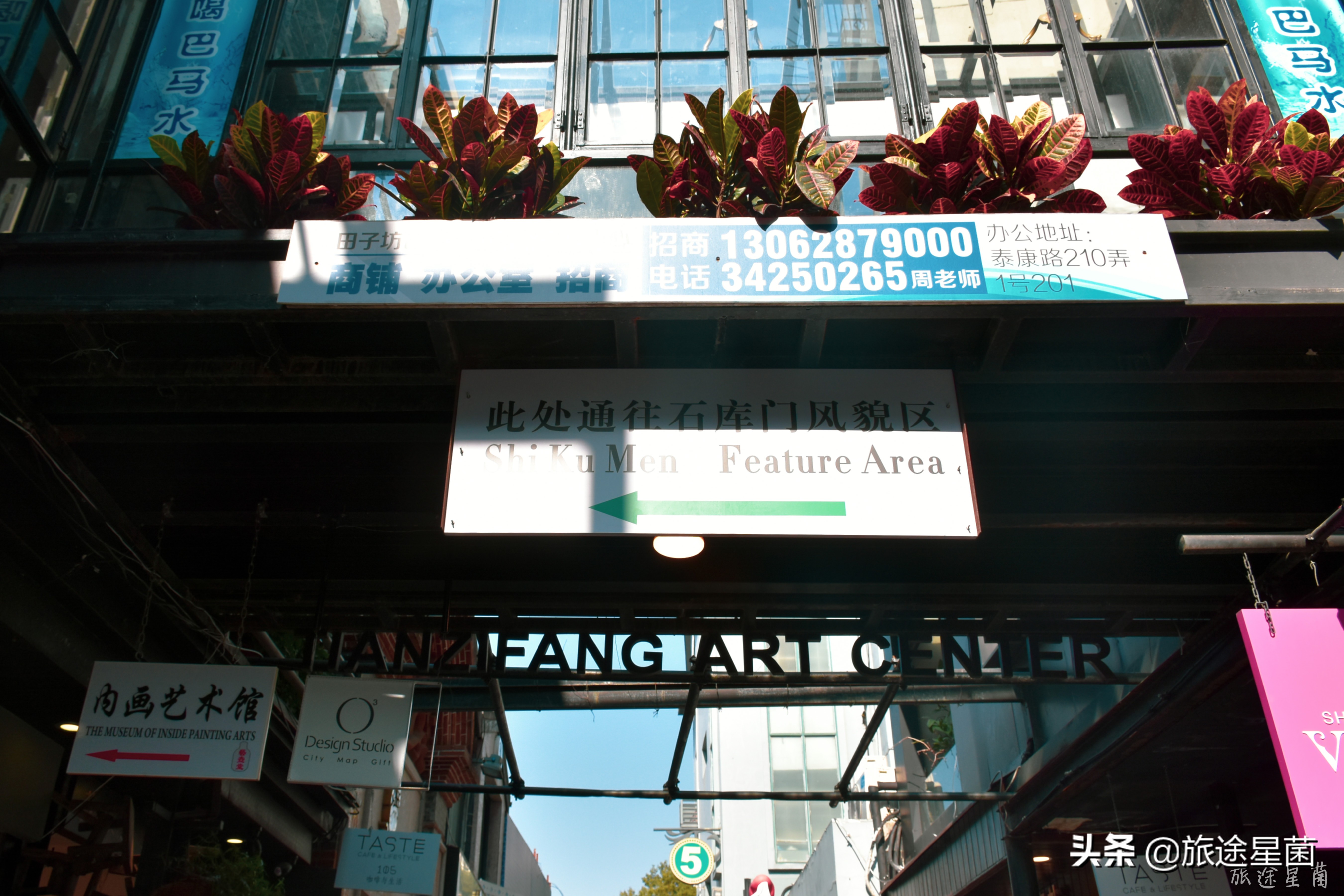 上海暑期最热门景点,上海最热门旅游景点