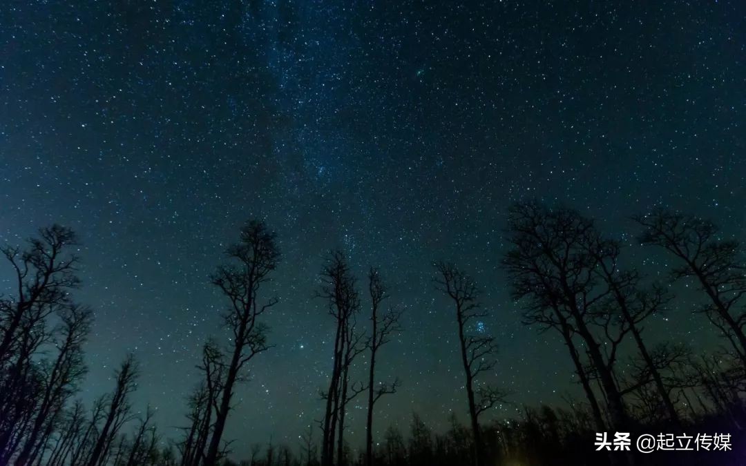 在读研究生如何快速挣钱,研究生闲余时间学什么能够赚钱