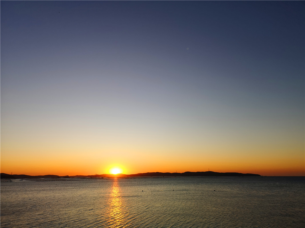 野生海参探店,野生海参采捕视频大全