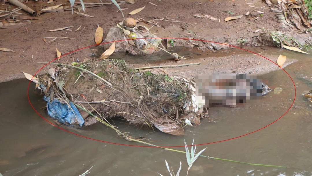 四川下水道无头女尸案告破,四川水沟发现一女尸