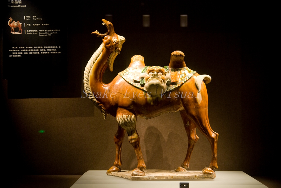 博物馆是一座永恒的城市记忆,博物馆了解历史