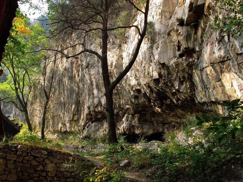 博山区年审,博山年审