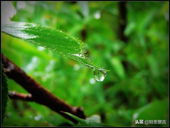 十首顶级哲理诗词名句,经典诗句励志古诗句