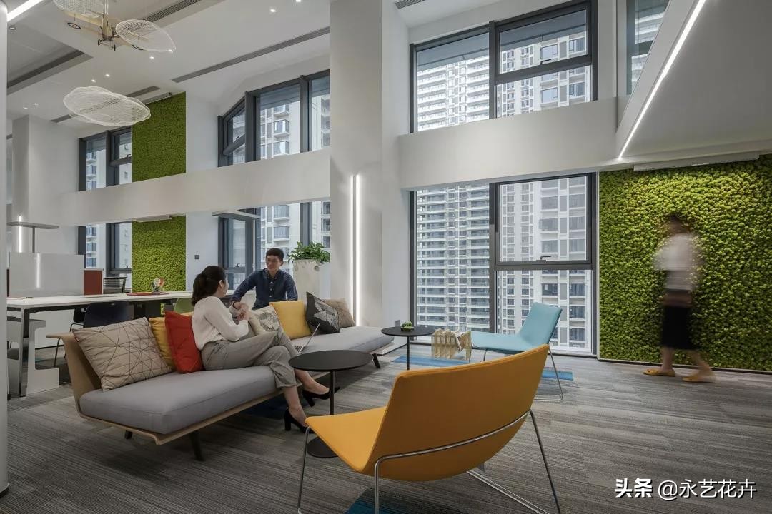 永生花苔藓植物墙,永生苔藓的价格