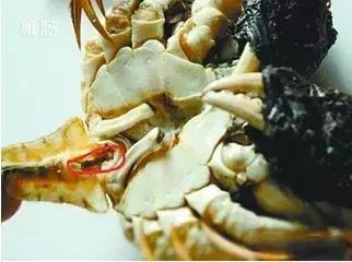 寿光羊口开海,寿光羊口哪个海鲜最好